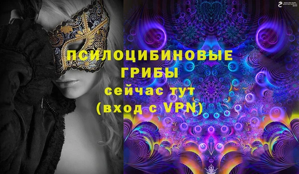 мдпв Мегион