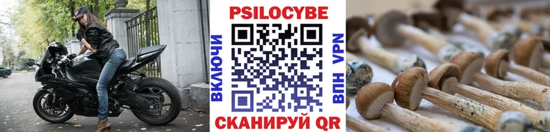 Галлюциногенные грибы Magic Shrooms  Медынь 